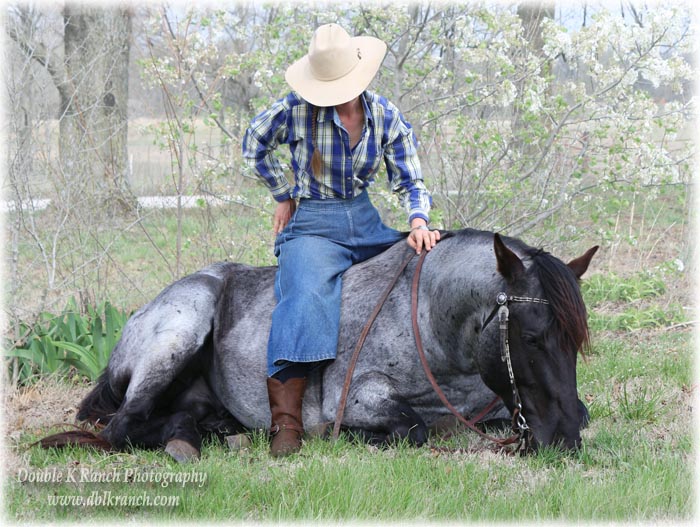 Plenty Rocks Ranch Double K Ranch... Stallion